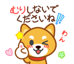 Dog of my home(red shiba) sticker #8898693