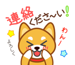 Dog of my home(red shiba) sticker #8898701