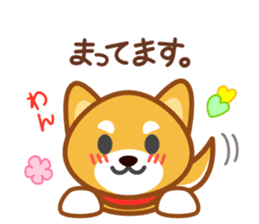 Dog of my home(red shiba) sticker #8898702