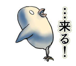 The Dangerous Birds sticker #8903473