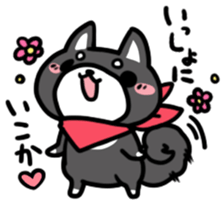 Black Shiba Inu Kuroshibaken sticker #8904617