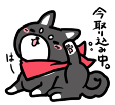 Black Shiba Inu Kuroshibaken sticker #8904635