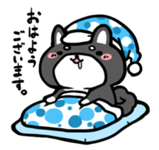 Black Shiba Inu Kuroshibaken sticker #8904638