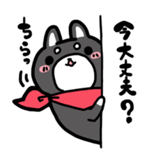 Black Shiba Inu Kuroshibaken sticker #8904641