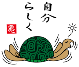 Kamezii(the tortoise grandpa) sticker #8904846