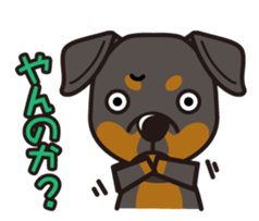 iinu - Rottweiler sticker #8905100