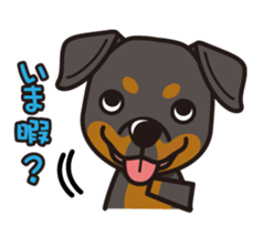 iinu - Rottweiler sticker #8905104