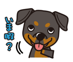 iinu - Rottweiler sticker #8905104