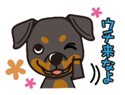 iinu - Rottweiler sticker #8905114