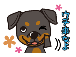 iinu - Rottweiler sticker #8905114