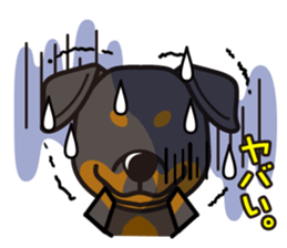 iinu - Rottweiler sticker #8905116