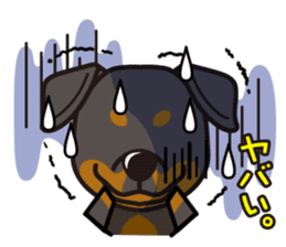 iinu - Rottweiler sticker #8905116