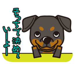 iinu - Rottweiler sticker #8905120
