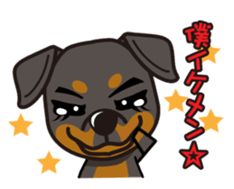 iinu - Rottweiler sticker #8905121
