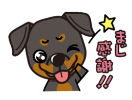 iinu - Rottweiler sticker #8905129