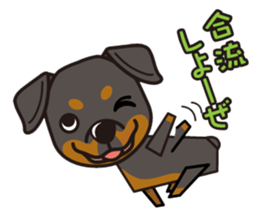 iinu - Rottweiler sticker #8905132