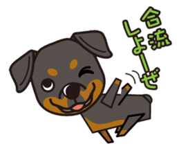 iinu - Rottweiler sticker #8905132