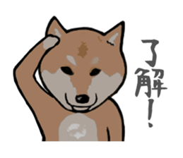 Great Shibas sticker #8906025