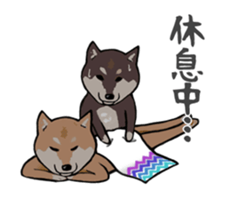 Great Shibas sticker #8906040