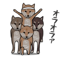 Great Shibas sticker #8906043