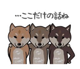 Great Shibas sticker #8906046
