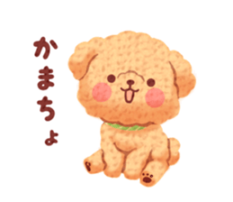Toy poodle want your attention. sticker #8909776