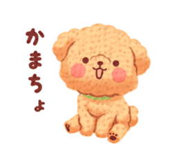 Toy poodle want your attention. sticker #8909776