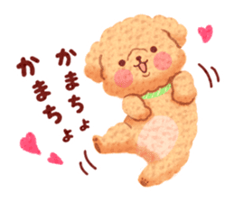 Toy poodle want your attention. sticker #8909777