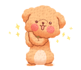 Toy poodle want your attention. sticker #8909778