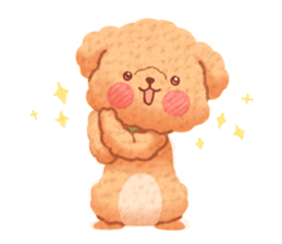 Toy poodle want your attention. sticker #8909778