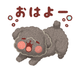 Toy poodle want your attention. sticker #8909780