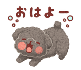 Toy poodle want your attention. sticker #8909780