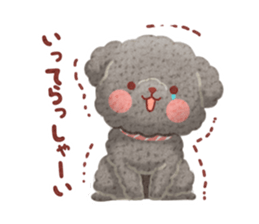 Toy poodle want your attention. sticker #8909782