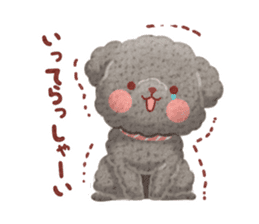 Toy poodle want your attention. sticker #8909782