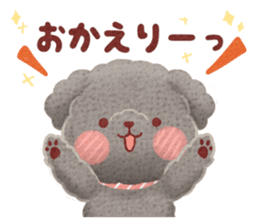 Toy poodle want your attention. sticker #8909783