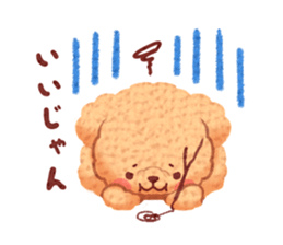 Toy poodle want your attention. sticker #8909784