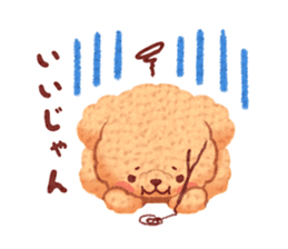 Toy poodle want your attention. sticker #8909784