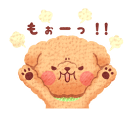 Toy poodle want your attention. sticker #8909786