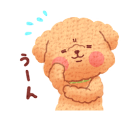 Toy poodle want your attention. sticker #8909787