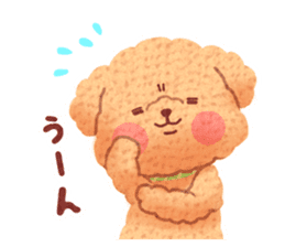 Toy poodle want your attention. sticker #8909787