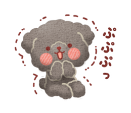 Toy poodle want your attention. sticker #8909788