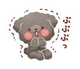 Toy poodle want your attention. sticker #8909788