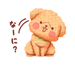 Toy poodle want your attention. sticker #8909793