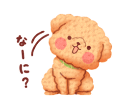 Toy poodle want your attention. sticker #8909793