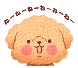 Toy poodle want your attention. sticker #8909795