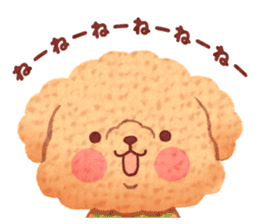 Toy poodle want your attention. sticker #8909795