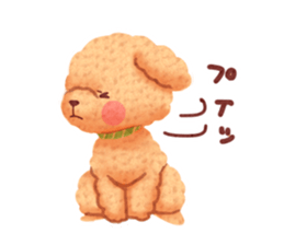 Toy poodle want your attention. sticker #8909800