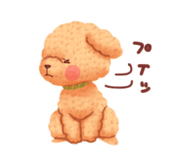 Toy poodle want your attention. sticker #8909800