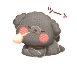 Toy poodle want your attention. sticker #8909804