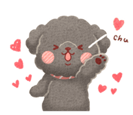 Toy poodle want your attention. sticker #8909807